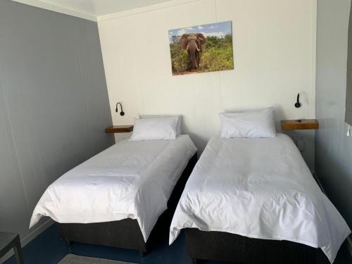 two beds in a room with an elephant on the wall at Sundays River Tiny homes - 5 min from Addo Park South Gate in Gqeberha