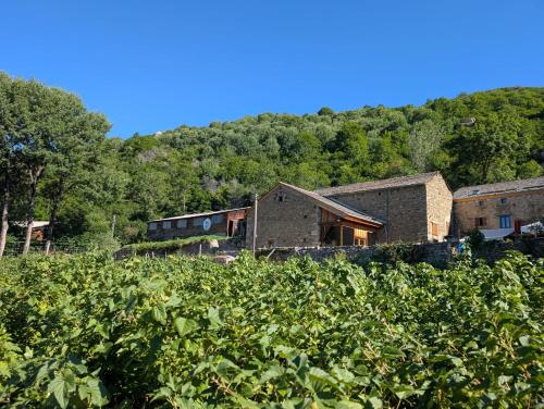 a building in the middle of a field of vines at La Yourte du Masfranc in Latour-de-Carol