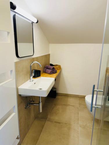 a bathroom with a sink and a toilet at Apartment Naturhof Roithbauer in Buchenort