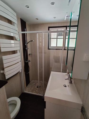 une salle de bain avec une douche, un lavabo et des toilettes dans l'établissement Bas de villa indépendant. 10min de la mer, à Biot