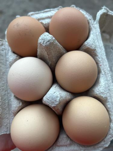 Fotografie z fotogalerie ubytování Tarly Pit v destinaci Cranbrook