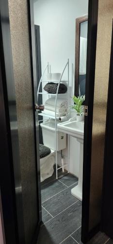 a bathroom with a white sink and a mirror at Hodgson residents in La Ceiba