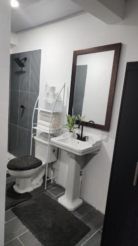 a bathroom with a sink and a mirror and a toilet at Hodgson residents in La Ceiba