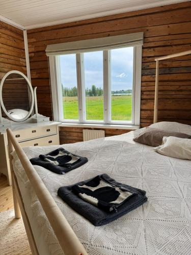 a bedroom with a bed with a mirror and a window at Villa Onni in Kauhajoki