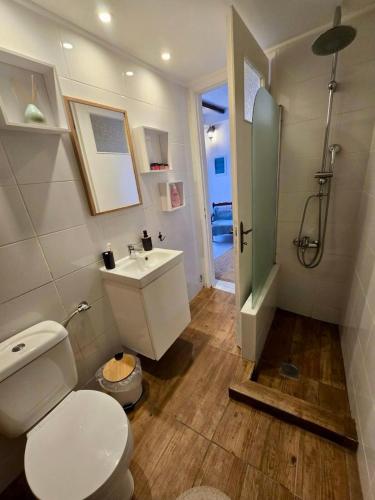 a bathroom with a toilet and a sink and a shower at Aelia in Ioulis