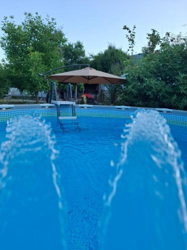 Bazén v ubytování Macedonia, Accommodations,rentals"Villa Vevcani" Vevchani nebo v jeho okolí