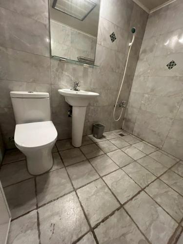 a bathroom with a toilet and a sink at 又一宿-又上的臨時客棧 in Taitung City