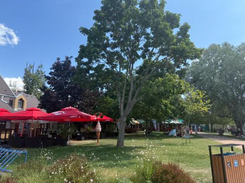 a person standing under a tree in a park at Ponton Apartman Alsóőrs in Alsóörs