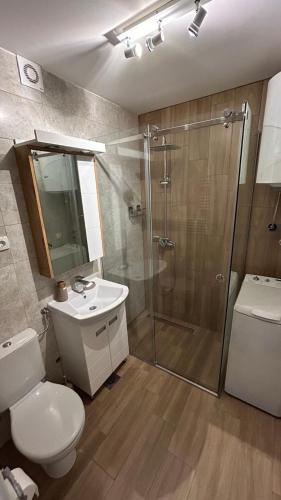 a bathroom with a shower and a toilet and a sink at Apartman Comfort Beograd in Belgrade