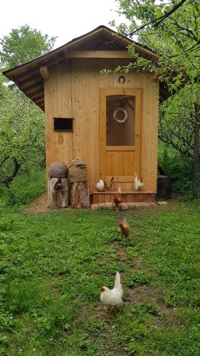 a group of chickens standing outside of a chicken coop at Vceli RAJ Bojnice in Bojnice