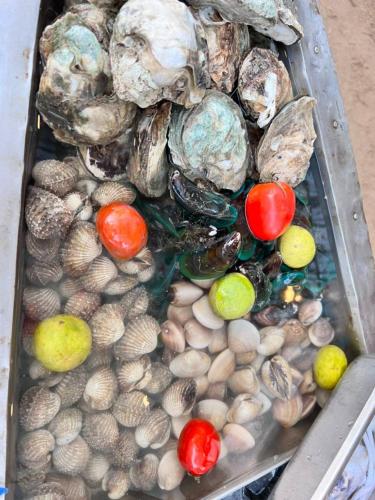 a tray filled with shells and tomatoes and a skull at Haad Yao Bayview Resort in Haad Yao