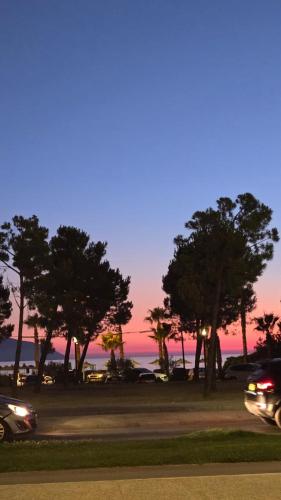 a group of cars driving down a road with trees at Alba Suites in Vlorë