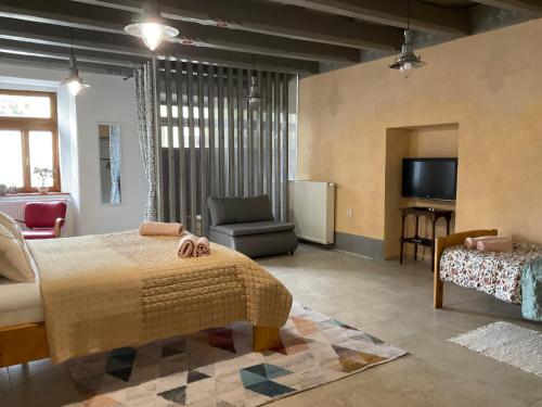 a bedroom with a bed and a chair and a tv at Historic Center Apartment in Spišské Podhradie