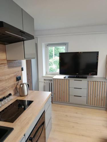 Apartament Centrum