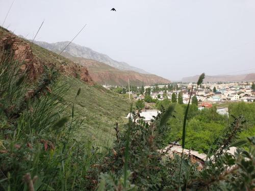 Un paisaje natural cerca del lodge