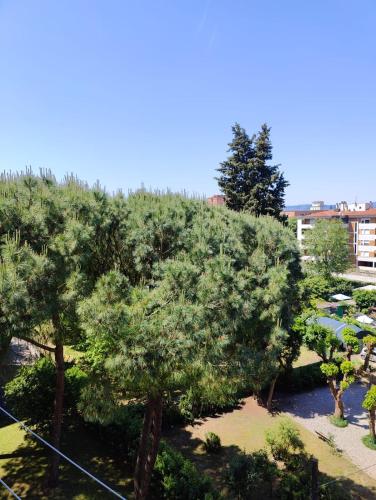 Panoramico