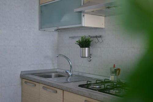 a kitchen sink with a potted plant on the wall at Rifugio Blu in Licata