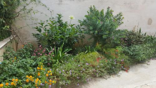 a garden of flowers and plants next to a wall at Appartamento Nonna Lina in Custonaci