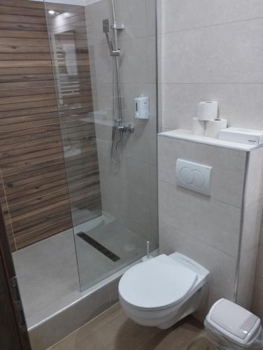 a bathroom with a shower with a toilet and a sink at Régi Posta Hotel és Étterem in Debrecen