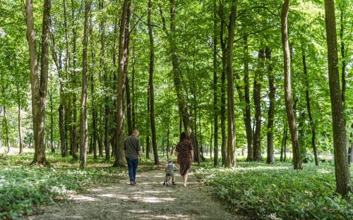 a man and a woman and a child walking through a forest at Dwór Kombornia - Folwark in Kombornia