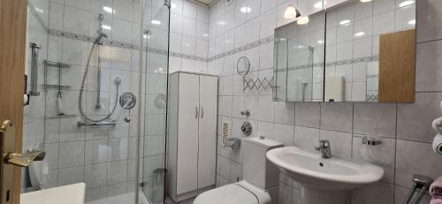 a bathroom with a toilet and a sink and a shower at Vacation and business city apartment in Mönchengladbach
