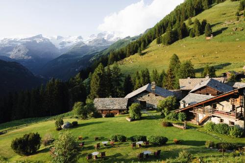 a group of cows grazing in a field next to a mountain at Hotellerie De Mascognaz in Champoluc