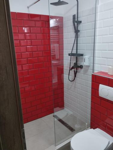 a bathroom with a rediled shower with a toilet at Régi Posta Hotel és Étterem in Debrecen
