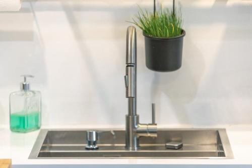 un lavello da cucina con una pianta in un vaso di La Maison d'Adèle a Vertou