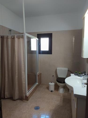 a bathroom with a shower and a toilet and a sink at Villa Eleni in Kypséli