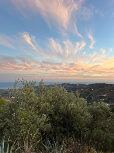 Φυσικό τοπίο κοντά σε αυτό το ξενοδοχείο