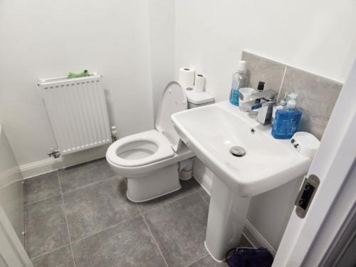 a bathroom with a white toilet and a sink at Edinburgh Road Nuneaton in Moffat