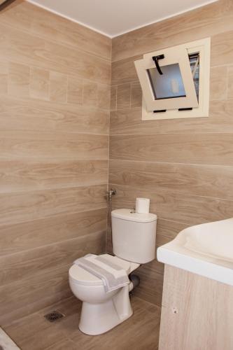 a bathroom with a toilet and a tv on the wall at Evoikos beach & resort in Livanátai