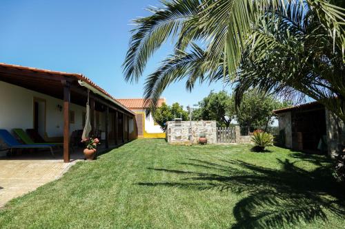 a yard with a palm tree and a house at Monte dos Touris in Santiago do Cacém