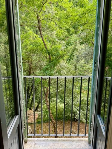 an open window with a view of a forest at Casa Ponte Raddi in Colli al Volturno