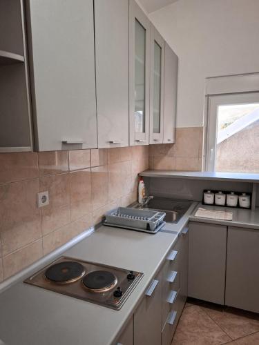 Η κουζίνα ή μικρή κουζίνα στο Apartman Maša Bileća