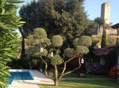a tree in a yard next to a swimming pool at Villetta BLUE GARDEN in Sonnino
