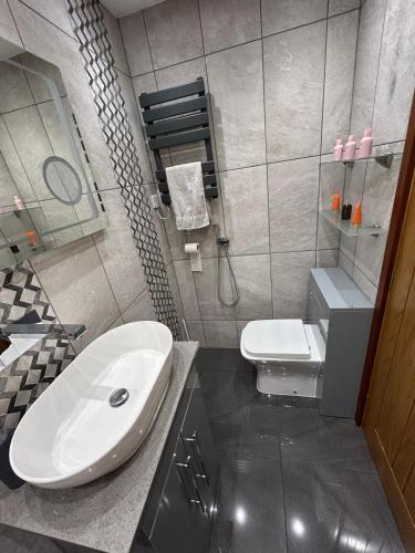 a bathroom with a sink and a toilet at Studio Guest House in Great Barr