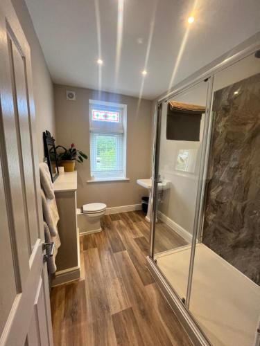 un baño con ducha y WC en The Meads, en Ilfracombe