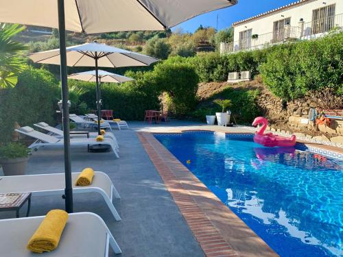 Caserío CarraspiteにあるSobremesa Boutiqueの水中のピンクのフラミンゴが入ったスイミングプール