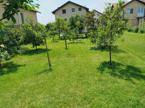 a group of trees in the grass in a yard at Apartmani LIDER Visoko in Visoko