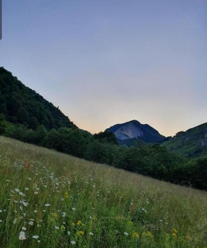 a grassy field with flowers and mountains in the background at Golden Eagle Jelovica in Berane