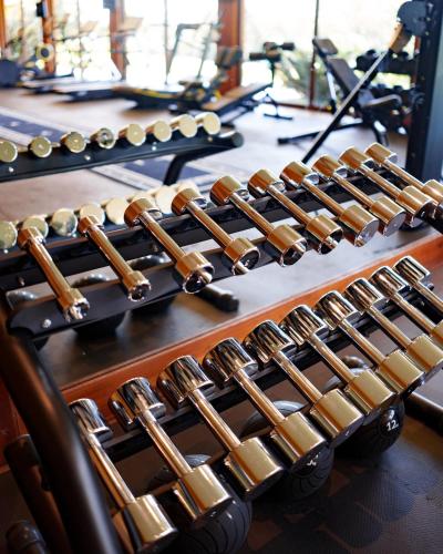a row of gold dumbbells in a gym at Zendaya Resort Beach Sport & Spa in Búzios