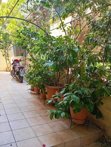 Taman di luar Ηome & Garden with parking close to Olympic Stadium
