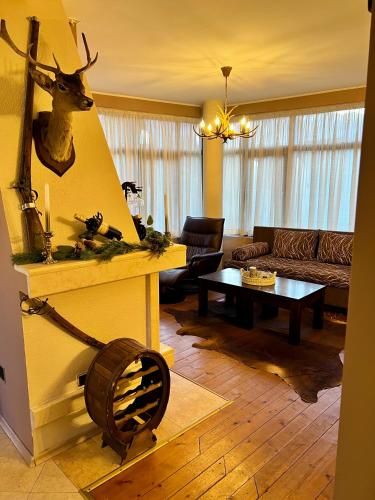 Ruang duduk di Chalet Hamars in Bansko