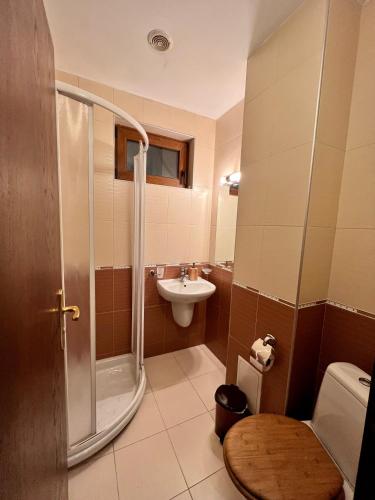 Bilik mandi di Chalet Hamars in Bansko