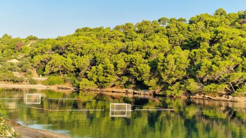 a river with three nets in the middle of a forest at Mira in Splitska