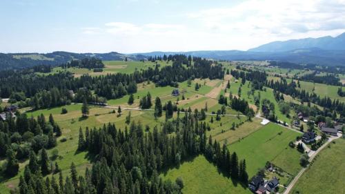 an aerial view of a green field with trees at Dom na Pawlikach in Rzepiska