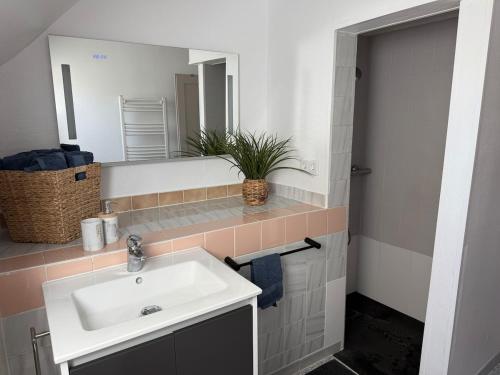 a bathroom with a sink and a mirror at Le Nid Dolois in Dole
