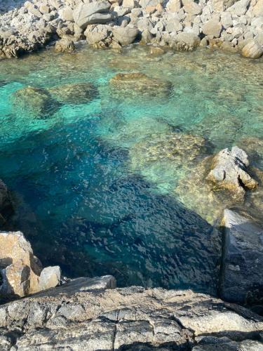 Paesaggio naturale nelle vicinanze dell'appartamento