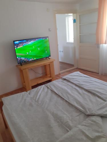 a bedroom with a bed and a tv on a table at Smestaj Stankovic in Soko Banja